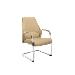 Paradise 53.3x53.3x50.8cm Mild Steel Beige Medium Back Visitor Chair, PVD-1911-image-70