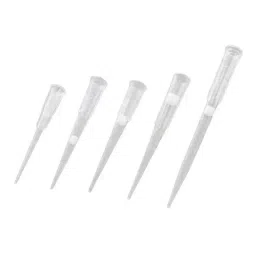 Lab Plus Low Binding Filter Tip, LP-8485 (Pack of 2)-picture-8