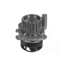 Meyle Water Pump for Laura/Superb/Rapid, 113 220 0023/Hd, MEY-X8876I-picture-12