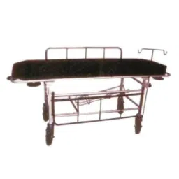 Wellton Healthcare with Mattress Stretcher Trolley, WH-100-picture-45