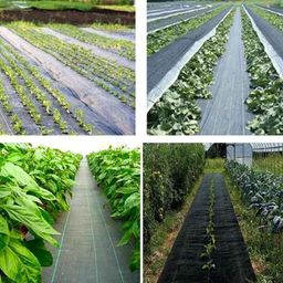 Singhal 2x20m 110 GSM Woven Fabric Black Sheet Mat for Garden Weed Control Barrier-image-46