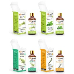 GoWoo 4 Pcs 10ml Peppermint, Lemongrass, Tea Tree &a; Eucalyptus Aroma Oil Set, GWOC18-P28+P40+P45+P19-picture-3