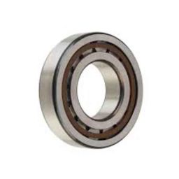 ARB 45x100x25mm Cylindrical Roller Bearing, NUP-309 (Pack of 10)-image-46