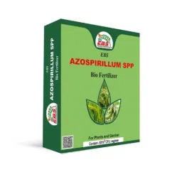 EBS 1kg Azospirillum SPP Nitrogen Fixing Bio Fertilizer Powder for Plant &a; Garden (Pack of 2)-image-24