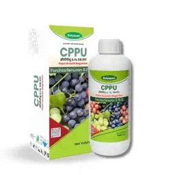 Katyayani 250ml CPPU Forchlorfenuron 0.1% L SL Plant Growth Regulator-picture-23