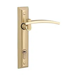 Bonus Olive1-8inch 85mm Brush Brass Both Side Key Mortice Lock Set-image-93