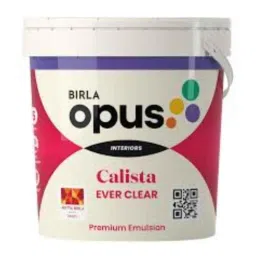 Birla Opus Calista Ever Clear 4 Litre Pastel Premium Interior Emulsion Paint-picture-33