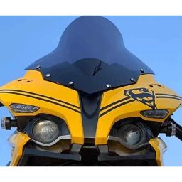 Meenu Arts Pulsar RS 200 Visor (Black)-45