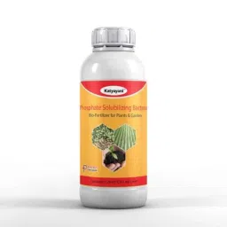 Katyayani 3L Phosphate Solubilizing Bacteria Bio Fertilizer for Plants &a; Home Garden-image-54