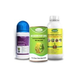Katayani 250ml Mal 50, 250ml Bhannat &a; 100ml Catalyser Combo, K-7268-image-5