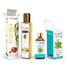 GoWoo 2 Pcs 10ml Natural Melissa Aroma Oil &a; 100ml Jojoba Carrier Oil Set, GWOC903-P33+P175-picture-46