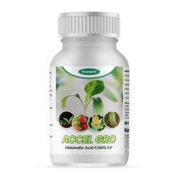 Katyayani 500g Accel Gro GA3 0.186% SP Plant Growth Regulator, K-6262-image-50