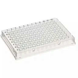 Lab Plus Stainless Steel Tank, Capacity: 22 Litre, LP-12135 (Pack of 2)-picture-25