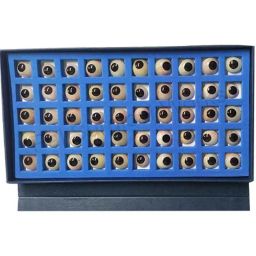 PSW Eye Artificial Prosthetic, PSW119 (Pack of 50)-image-30