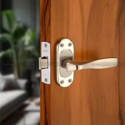 Duke 5 inch 25-40mm Stainless Steel Mortise Lock Set, 307+1004SSBABY-picture-9