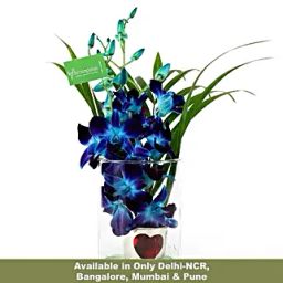 Hearty Orchid Vase Arrangement-image-53