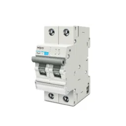 Wipro Fianza 32A Double Pole C Curve MCB, WM32ADP-picture-36