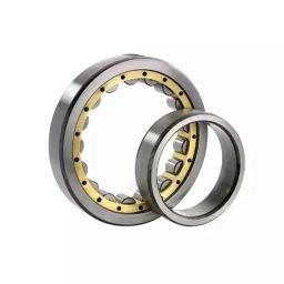 BM3 25x62x17mm Chrome Steel Cylindrical Roller Bearing, NJ/NU-305 M (Pack of 5)-picture-25