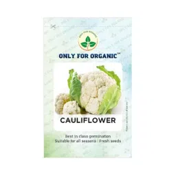 Only For Organic 50g Cauliflower Vegetable Seeds, OFOPPCAU0050-image-31