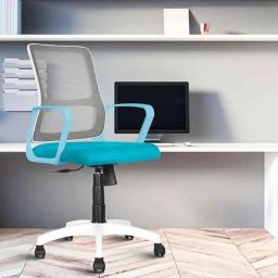 Rose Elanzo Mesh Blue &a; White Medium Back Revolving Ergonomic Office Chair-11