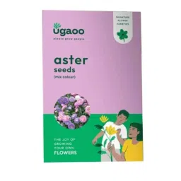 Ugaoo 1g Flower Aster Mix Seeds, NUFSO009-image-15