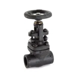 Zoloto 20mm Forged Steel Class-800 Full Bore Globe Valve, 1074A-image-14