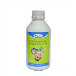Katyayani 3L Ampelomyces Quisqualis Bio Fungicide, K-467 (Pack of 3)-image-67