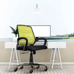 Rose Blazia 53x53x109cm Mesh Green &a; Black Medium Back Ergonomic Chair-picture-22