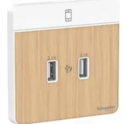 Schneider Electric AvatarOn 2 Type A 2.1 A Light Wood USB Charger, E8332USB_LW_G8-picture-2