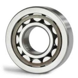 ARB 20x52x15mm Cylindrical Roller Bearing, NJ-304 (Pack of 5)-picture-34