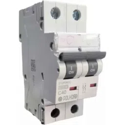 Polycab Polyshield 40A C Curve Double Pole MCB, GMM202P007-2