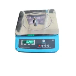Oritek 290x230mm Mild Steel Table Top Weighing Scale, Capacity: 3 kg-picture-19