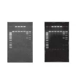 Lab Plus Quenching Sheet 130x90mm, LP-7258 (Pack of 10)-picture-37
