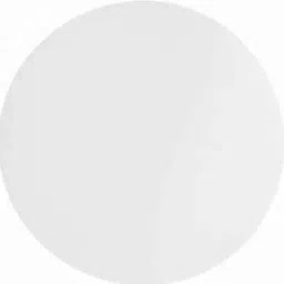 Whatman 340mm Skin Filter Paper, 10347522-29