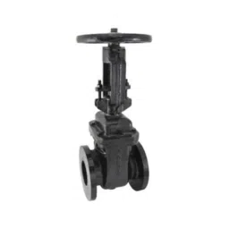 Zoloto 50mm Cast Iron PN 1.6 Flanged Sluice Valve with Rising Steam, 1079D-picture-0
