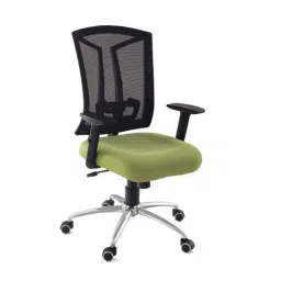 Da URBAN Topsky Green Mid-Back Revolving Mesh Ergonomic Chair for Home &a; Office-picture-18