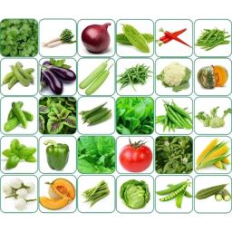 Aero Seeds 150g 30 Varieties 1860 Vegetable Seeds, Aero-Veg-30-image-24