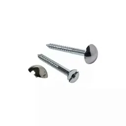 B K Jagan &a; Co 3 inch Mirror Screw Self Tapping with Button Brass (Pack of 25)-picture-7