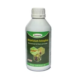 Katyayani 10L Metahizium Anisopliae Bio Insecticide-image-62