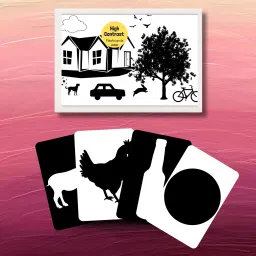 Early Learning Flashcards: High Contrast Black and White Designs-47