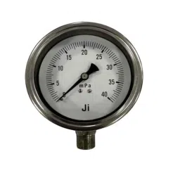 Japsin Instrumentation 0-40mPa Direct Mounting Bottom Entry Pressure Gauge, Connection: 1/2 inch, JI-EPG-1030-89