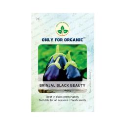 Only For Organic 10g Brinjal Vegetable Seeds, OFOPPBBB0050-image-46