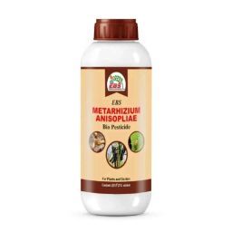 EBS 1 Litre Metarhizium Anisopliae Bio Pesticide for Control Root Weevils, Plant Hoppers, Japanese Beetle &a; Black Vine Weevil (Pack of 3)-image-69