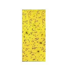 Katyayani 22x28cm Yellow Pest Control Trap Sheet, K-5745 (Pack of 50)-picture-19