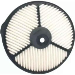 Zip ZA-4008 Air Filter For Esteem Type 1-picture-14