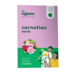 Ugaoo 3g Flower Capsicum Seeds, NUFSO017-image-19
