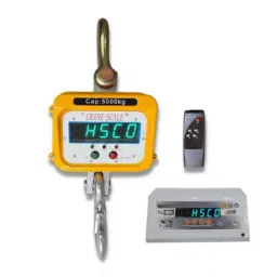 Hsco 3000kg  Steel Electronic Crane Weighing Scale with Remote Display, CRHRD3K-picture-0