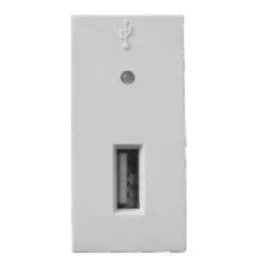 Rapid Stylish 2.5A 1 Module USB White Communication Jack with Indicator, R-2048 (Pack of 10)-picture-43