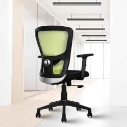 Rose Teesla 66x48x120cm Mesh Green &a; Black Medium Back Ergonomic Chair-picture-41