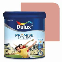 Dulux Promise 4 Litre Sun Kiss Gloss Finish Exterior Acrylic Emulsion Paint, D99B8E-4-picture-11